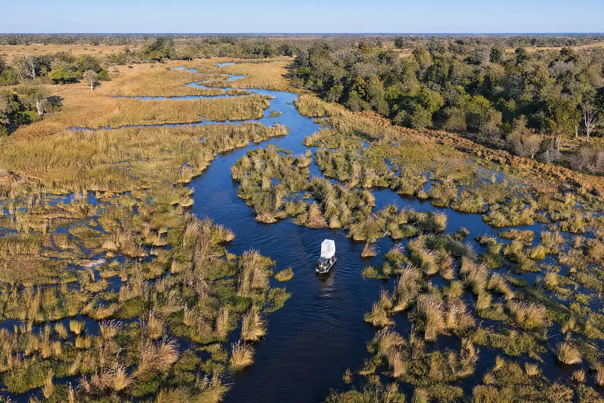 A boat on a winding channel through the reeds, seen from above