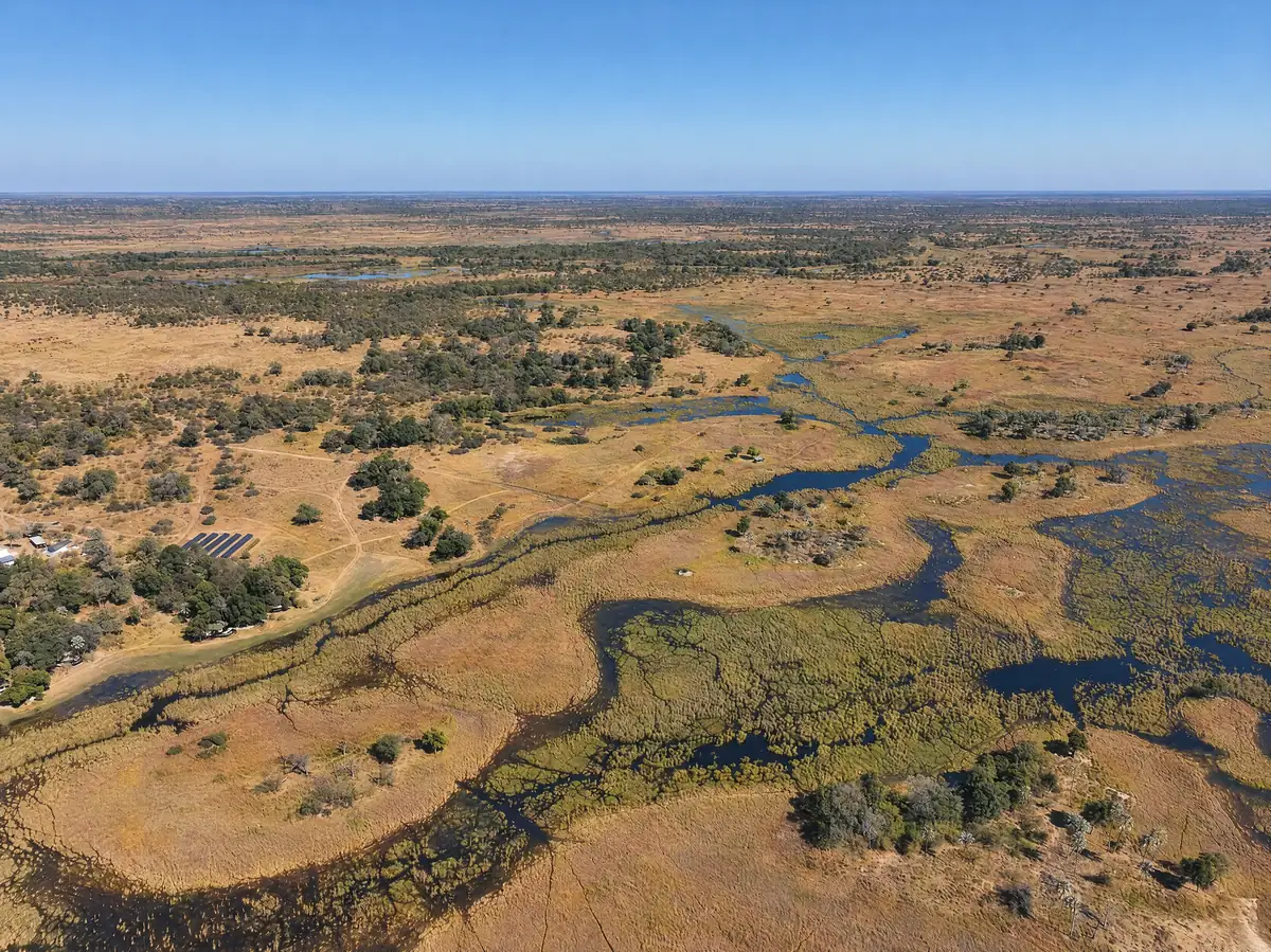 The channels of the Delta shining in the sun