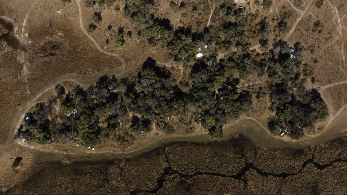 A tree island ringed by dry floodplain, seen from overhead