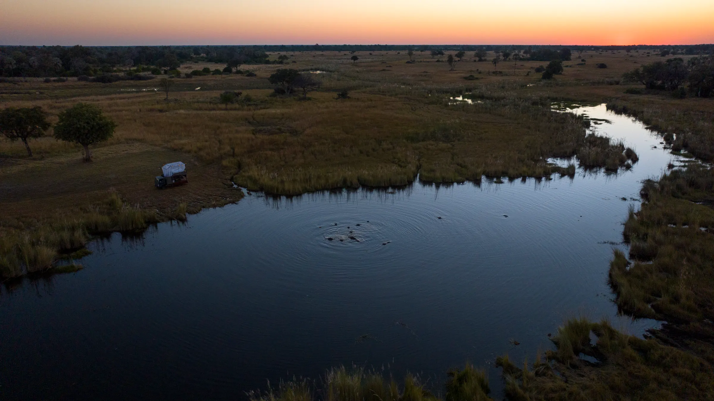 A wide channel of the Delta at dusk seen from the air, hippos in the water and the reeds on either side