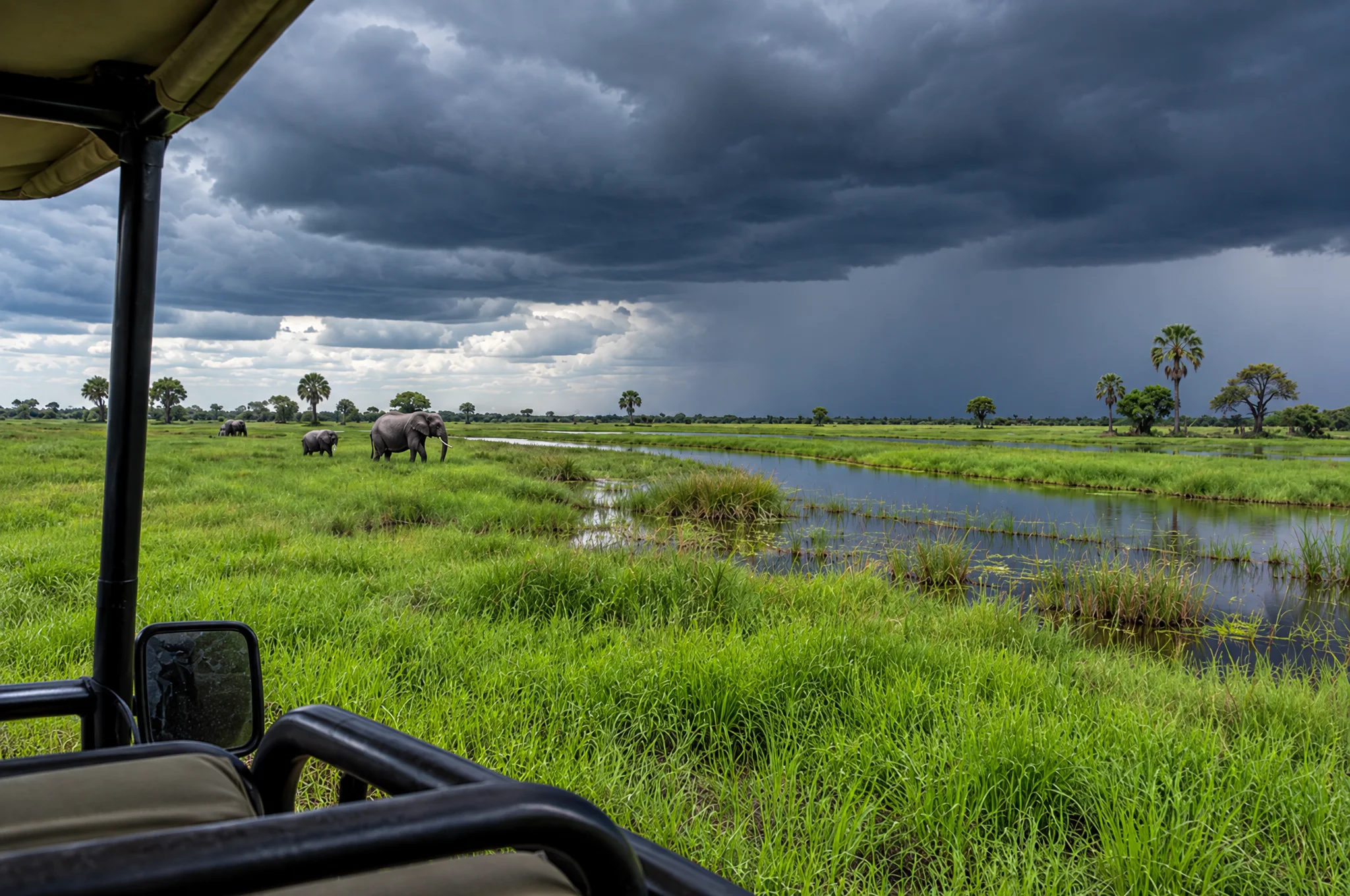 Elephants on a green floodplain under dark storm clouds, seen from the game vehicle