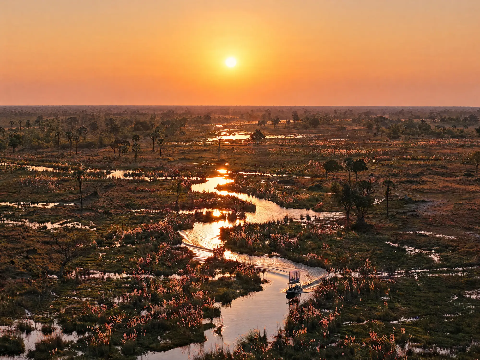 A channel of the Okavango winding through the floodplain, seen from the air