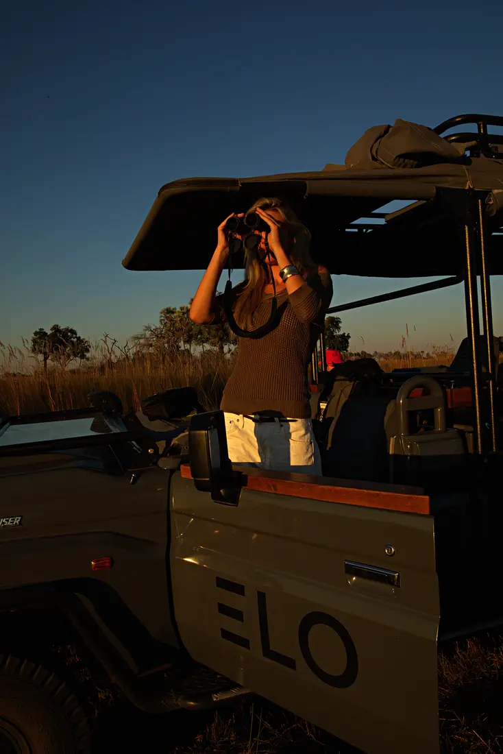 A guest with binoculars standing up in the game vehicle, in the evening light