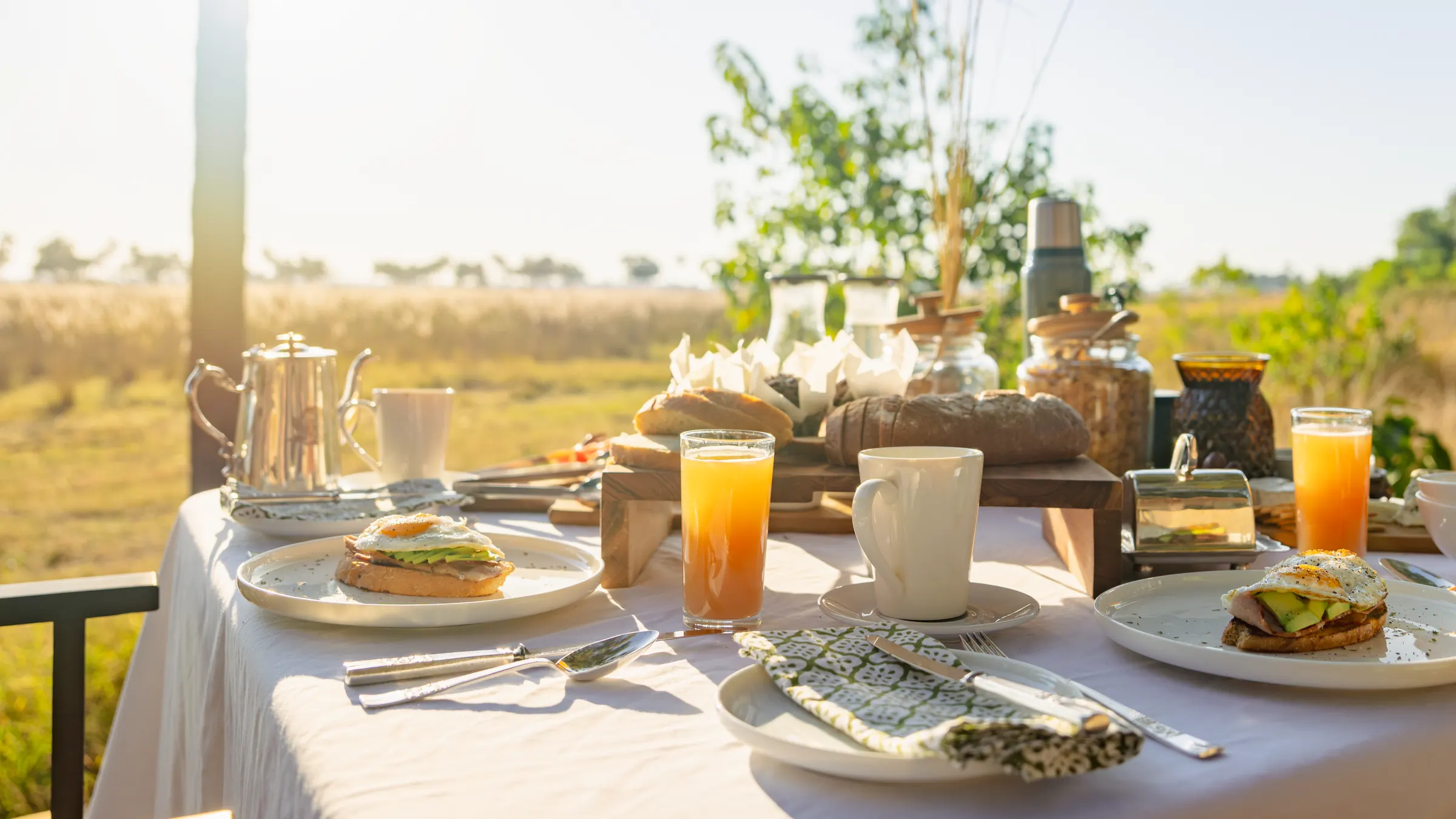 Breakfast laid on a white tablecloth, with juice, coffee and bread, and the floodplain behind