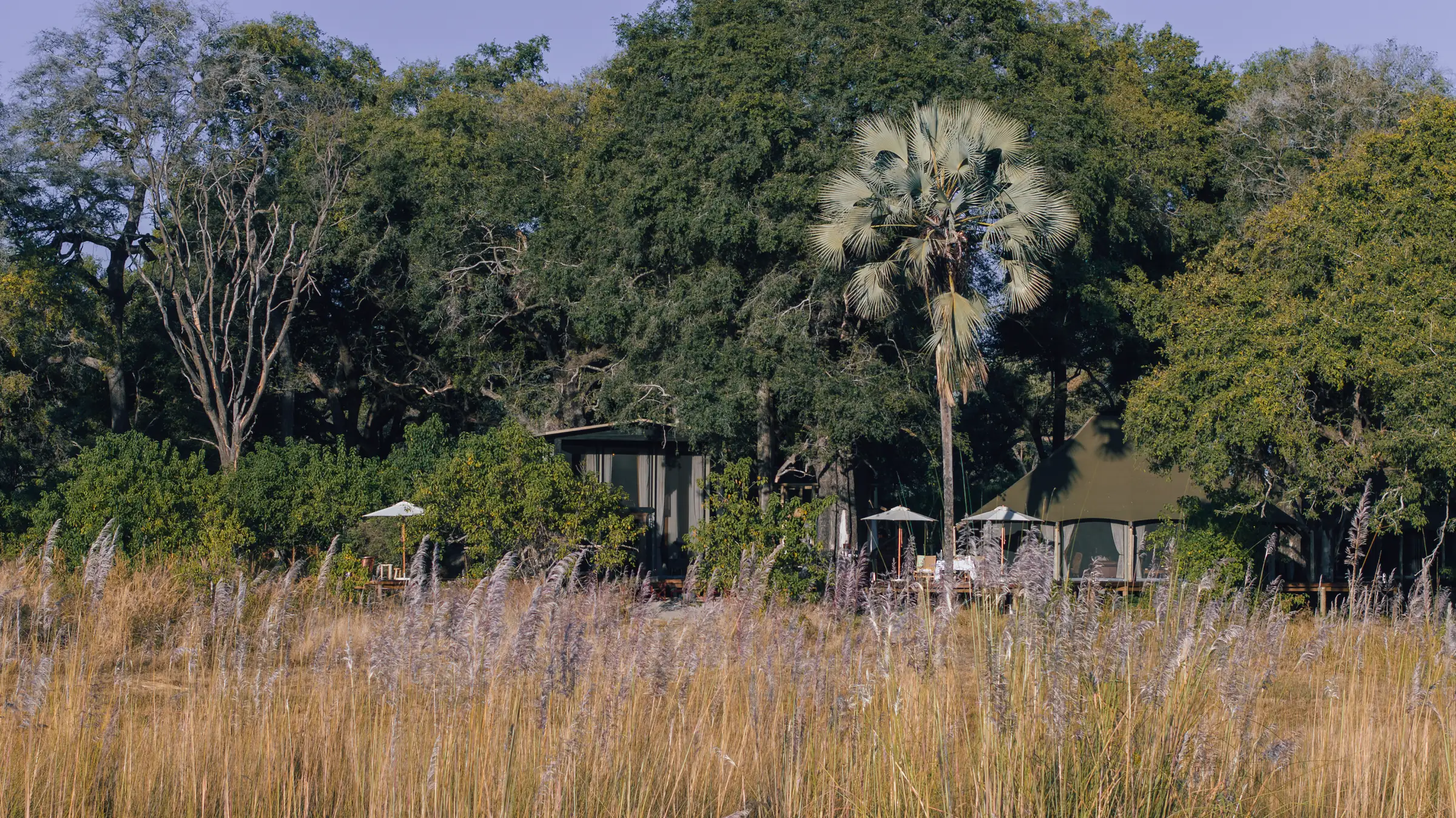 An Elo villa half hidden behind tall grass, a palm and the great trees