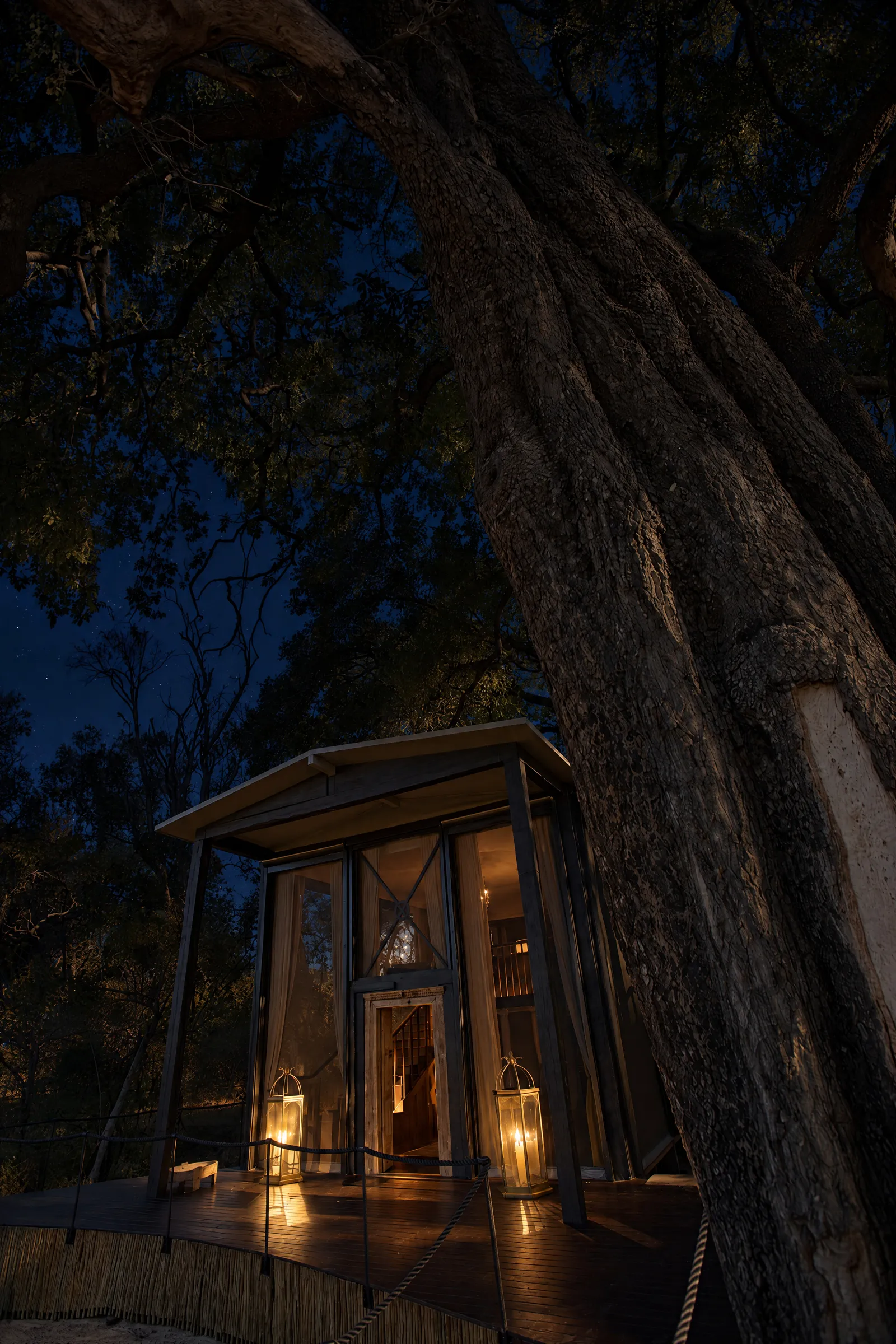 The glass front of a villa at night under a great tree, two lanterns lit at the door