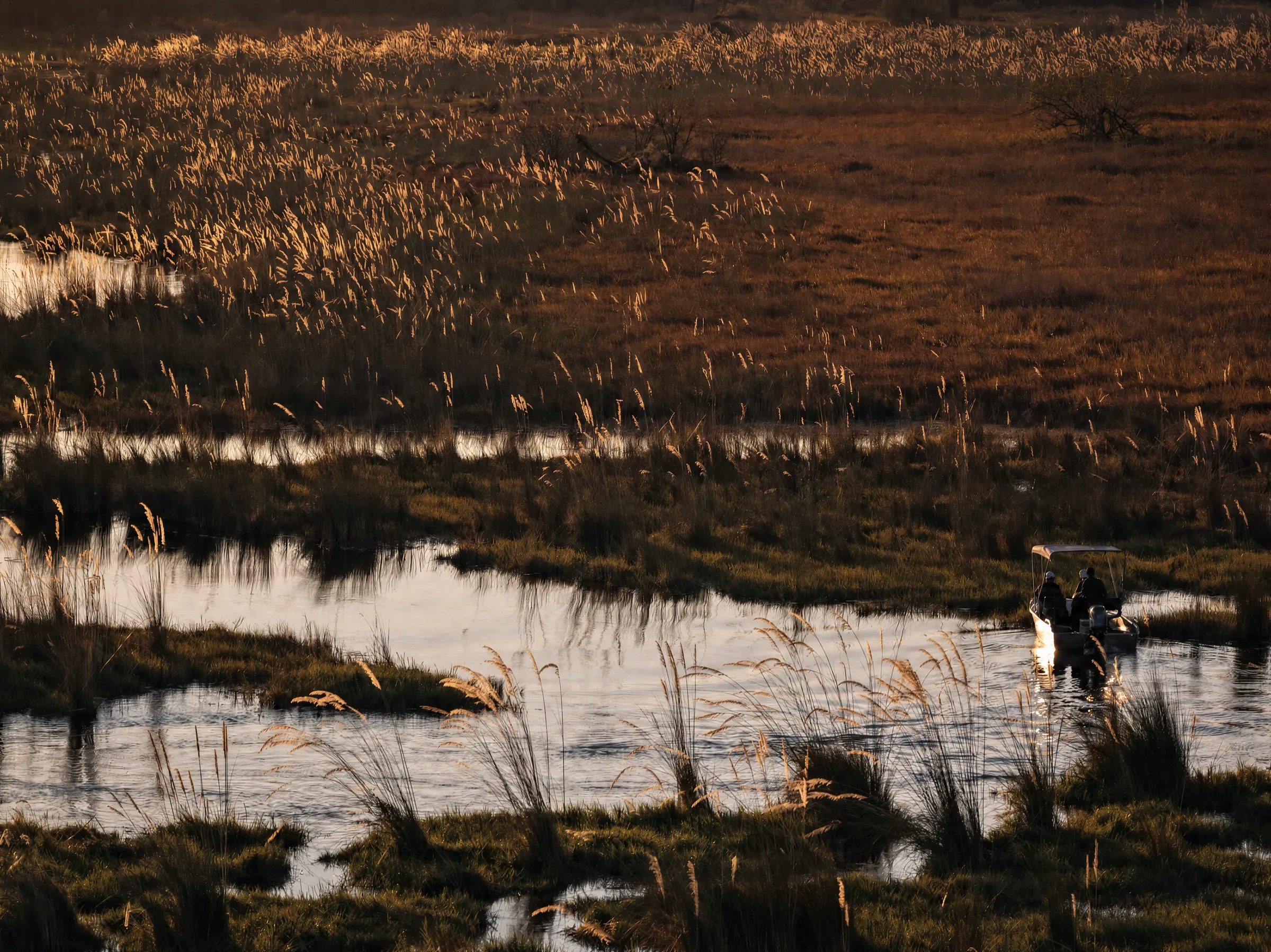 A boat with two guests on a channel through the reeds, in the low evening sun