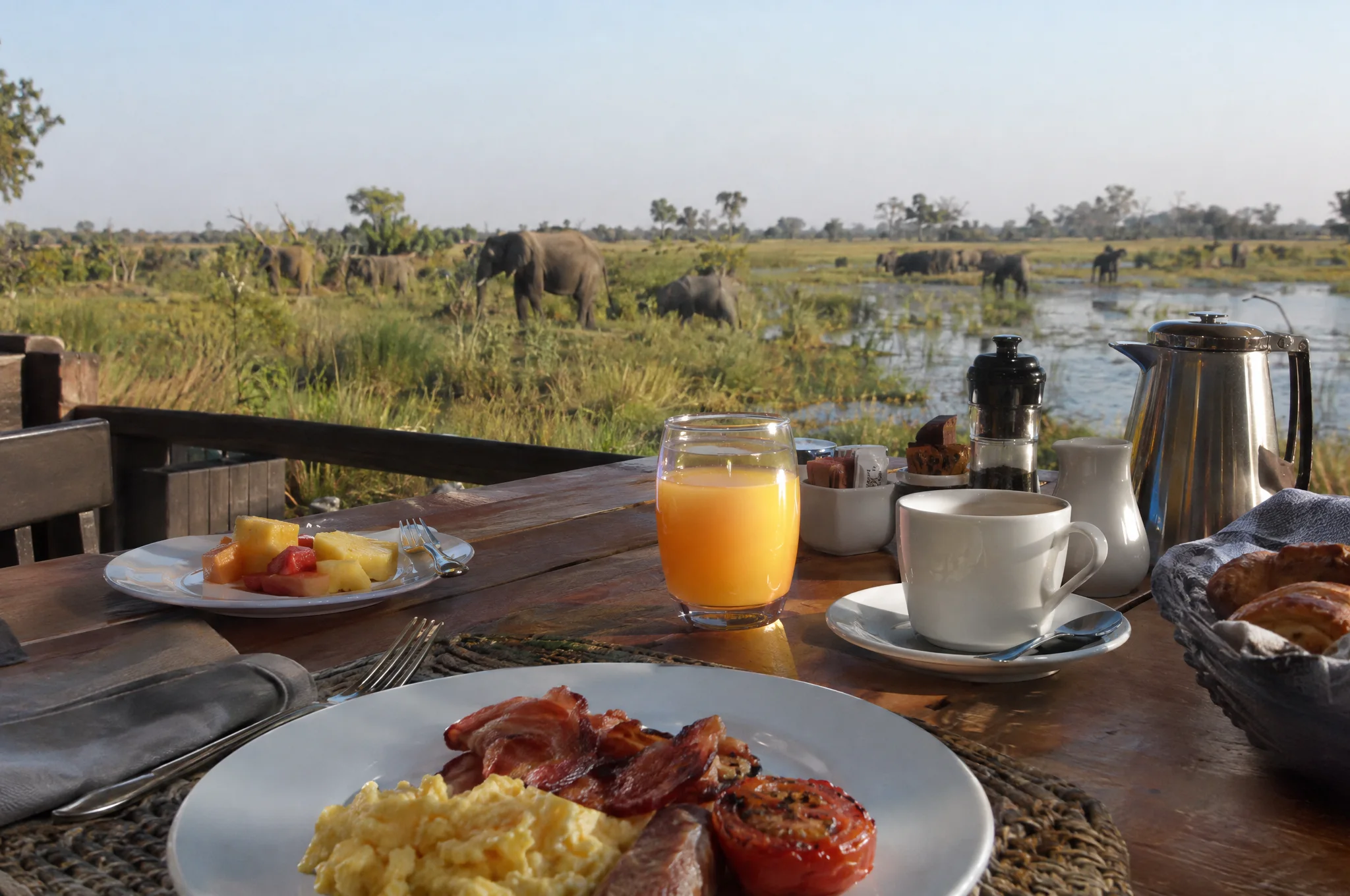 Breakfast laid on a wooden table, elephants crossing the floodplain behind it
