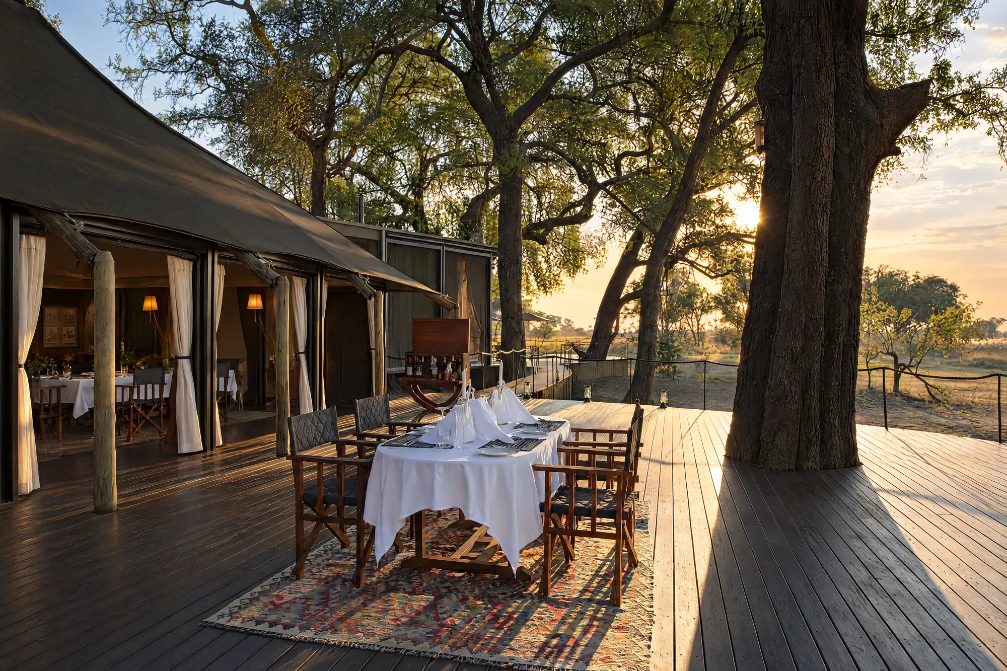 A long table laid on the deck under the great trees, the low sun coming through the branches