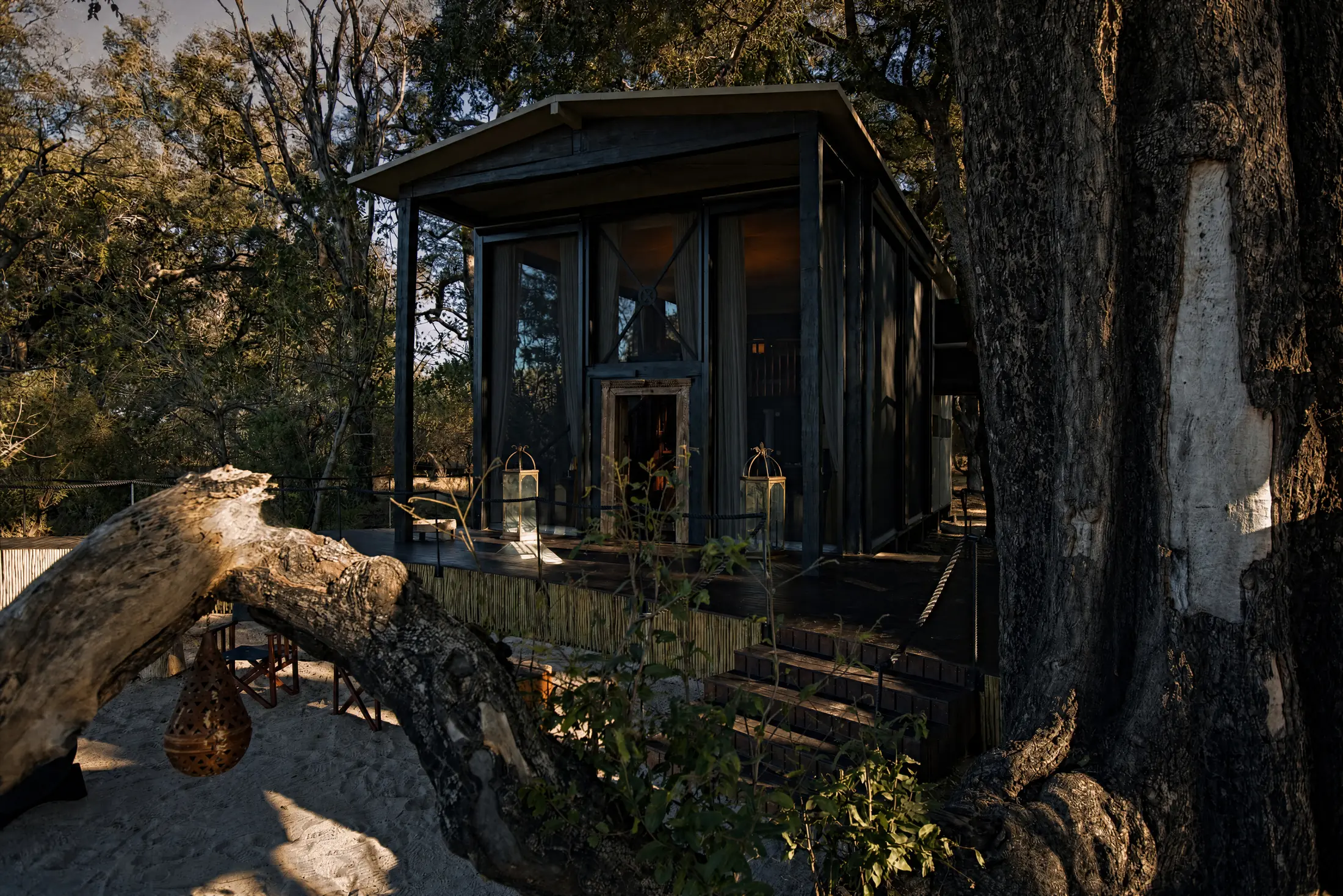 The front of a villa between the great trees, its antique door open