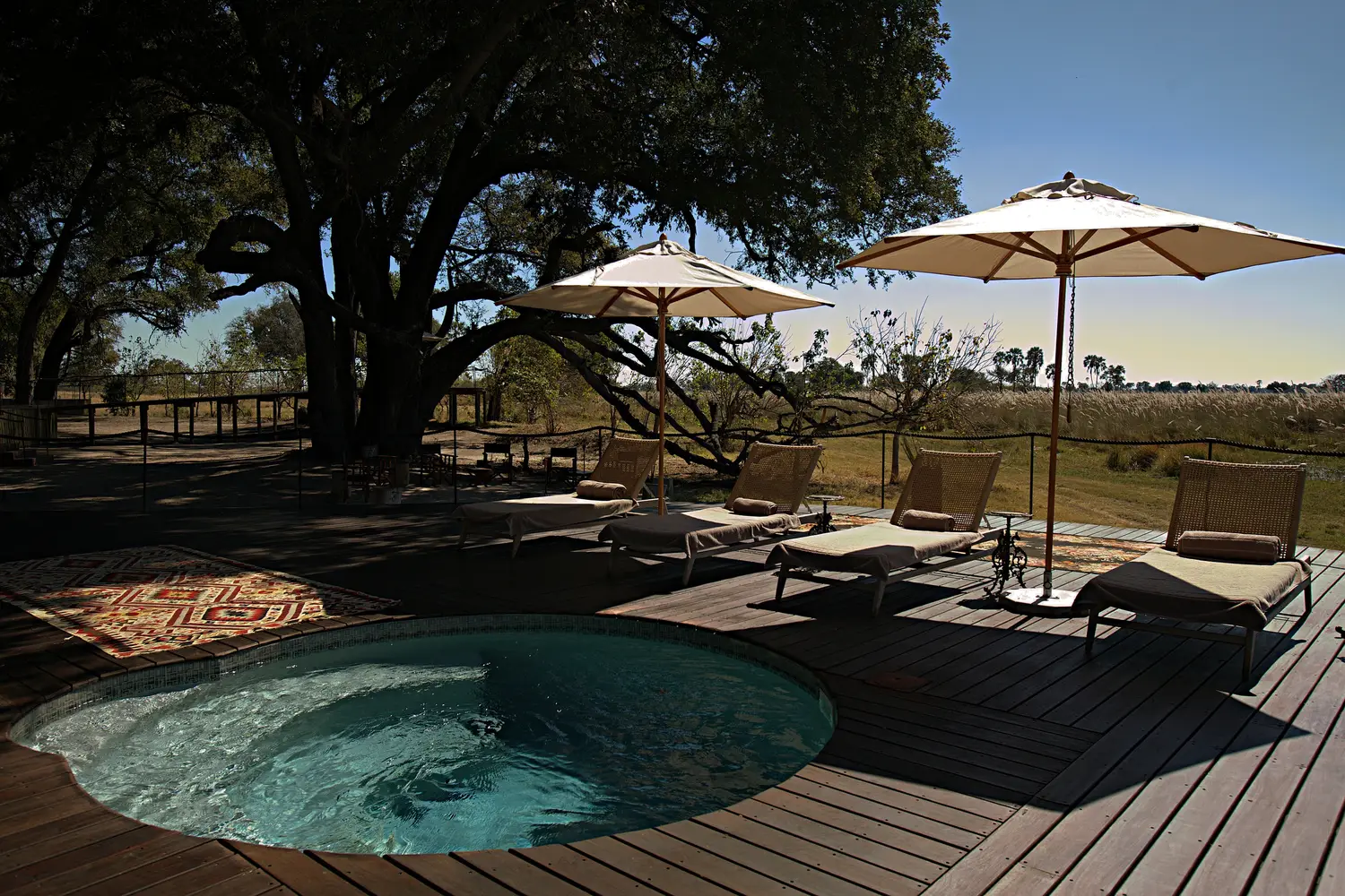The round pool on the deck, with loungers and parasols under a great tree